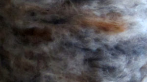 silk wool fiber mix