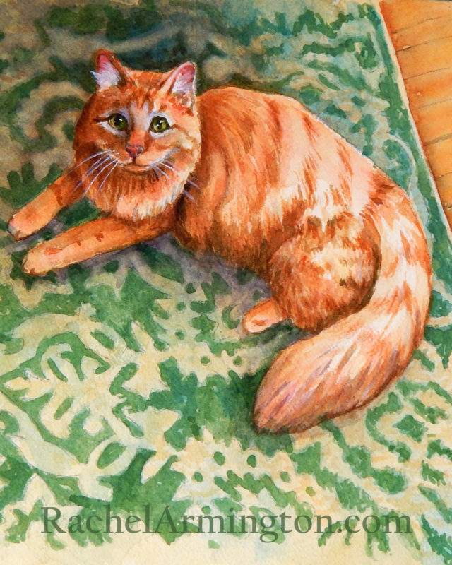 Long Hair Orange Cat