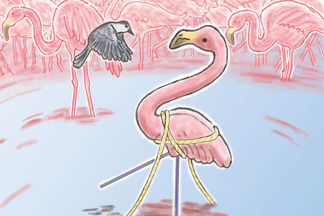 Illustration from Pink Flamingo Finds His Flock